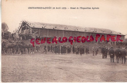 87 - CHATEAUNEUF LA FORET - STAND DE L' EXPOSITION AGRICOLE  30 AVRIL 1933 - RARE - Chateauneuf La Foret