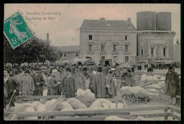 FRANCE - LOIRE - ANCENIS - Le Champ De Foire ( Ed. Nº 6) Carte Postale - Kermissen