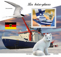 Centrafrica 2021, Ice Braker, Fox, Owl, BF - Arctic Tierwelt