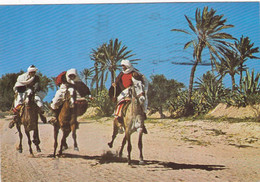 QP -  Lote 5 Cartes -  JERBA, Tunisie - 5 - 99 Cartes