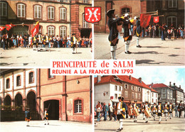 CPM 88 (Vosges) Senones-en-Salm - La Relève De La Garde De La Principauté De Salm, Multivues TBE - Senones