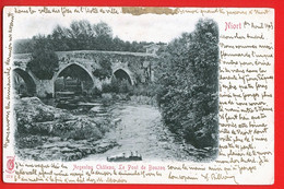 002372 - DEUX SEVRES - ARGENTON CHATEAU - Le Pont De Bouzon - Dos Non Divisé - Argenton Chateau