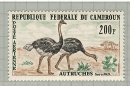 Cameroun 1962, Bird, Birds, Ostrich, 1v, MNH** - Straussen- Und Laufvögel