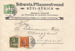 Schweiz 1923 Schleife Streifband 5 Rp. Grün Baer SB37.PrZD6 Zudruck 'Schweiz. Pflanzenfreund' RÜTI Nach Lugano (r254) - Postwaardestukken