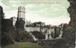WELLS - Ruins Of Banqueting Hall, Palace Grounds (E S Copyright) Date Unknown Unused - Wells