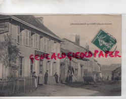 87 - CHATEAUNEUF LA FORET - HOTEL RIVET  RARE - Chateauneuf La Foret