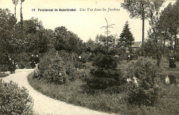 035 463 - CPA - Belgique - Nederbrakel - Pensionnat De Nederbrakel - Une Vue Des Jardins - Brakel