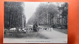 CPA (44)  Une Meute Dans  La Forêt Du Gavre .  (AB.1847) - Le Gavre