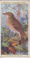 16 Tree Pipit  -   British Birds 1915 - Wills Cigarette Card - Antique - Wildlife - Wills