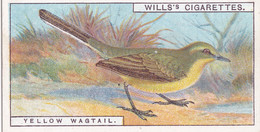 15 Yellow Wagtail -   British Birds 1915 - Wills Cigarette Card - Antique - Wildlife - Wills