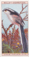 20 Long Tailed Tit -   British Birds 1915 - Wills Cigarette Card - Antique - Wildlife - Wills