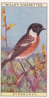 37 Stonechat -   British Birds 1915 - Wills Cigarette Card - Antique - Wildlife - Wills