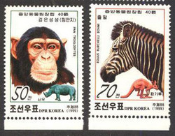 DPRK - MONKEY - RHINOCERES - ZOO - **MNH - 1999 - Chimpancés