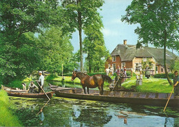 CPM Giethoorn Vervoer Paard Per Boot - Transport D'animal Sur Barque Dans Les Canaux De Hollande - Giethoorn