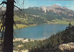 A359) Der HALDENSEE - TANNHEIMERTAL Gegen Gimpel Und Rote Flüh  Blick Auf HALLER  - Tannheim - Tannheim