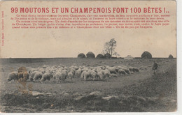 REGION : 99 Moutons Et Un Champenois Font 100 Betes : édit. Texte Déposé - Champagne - Ardenne