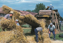 AK Bauern Mit Dreschmaschine - La Batteuse  (57909) - Farmers