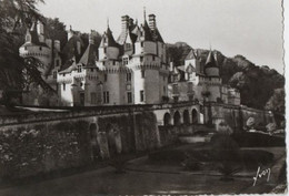 RIGNY - USSE - LE CHATEAU - REAL PHOTO - F.G - Reugny