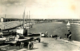 Ars En Ré , Ile De Ré * L Eport * Bateaux Pêche Pêcheurs - Ile De Ré