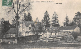 Villaines Les Rochers       37            Château Du Boulay     - 2  -       (voir Scan) - Sonstige & Ohne Zuordnung