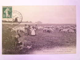 2021 - 3284  PERIGNY  (Val De Marne)  :  Les MOUTONS Aux CHAMPS  1909   XXX - Perigny