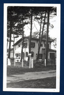 40. Biscarrosse. Biscarrosse-Plage. Une Villa Sous Les Pins. 1950 - Biscarrosse