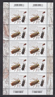26.- GERMANY 2021 COMPLETE SHEET EUROPA 2021 ENDANGERED NATIONAL FAUNA - Unused Stamps