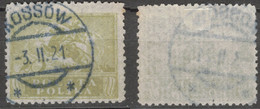 POLEN POLOGNE POLAND 1920 Mi 117 USED Light Green - Oblitérés