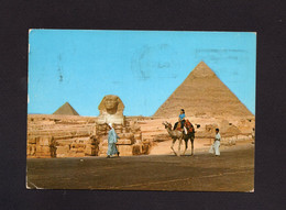 CARTOLINA - EGITTO  -  THE GREAT SPHINX   PYRAMID - Sphynx