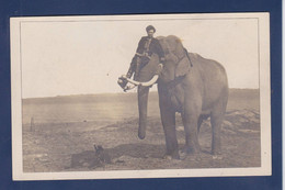 CPA éléphant Carte Photo Non Circulé Cirque Circus ? - Elefanti