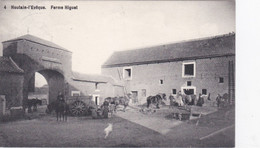 Landen - Ferme Higuet - Landen