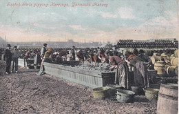 YARMOUTH FISHERY - SCOTCH GIRLS GIPPING HERRINGS - Great Yarmouth