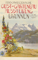 CPA-SUISSE-BRUNNEN-I.Urschweizerische-Obst Und Gartenbau Ausstellung-September 1908 - SZ Schwyz