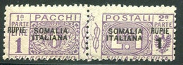 SOMALIA 1923 PACCHI POSTALI 1 R. SU 1 L. SASSONE N.26  * GOMMA ORIGINALE - Somalië