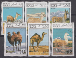 Animaux Sahara Occ. 1994 Oblitérés / Used / Gestempeld - Andere