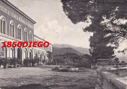 FABRIANO - SCUOLA TECNICA AGRARIA N. SERAFINI F/GRANDE VIAGGIATA 1955 - Ancona