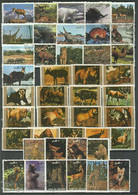 Ajman And Umm Al Qiwain Fauna - Wildlife ☀ Used CTO - Used Stamps