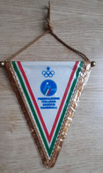 Vintage Pennant ITALY Handball Federation Pennant Size 17x19cm - Handbal