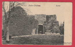 Salm-Château  - Ruines ( Voir Verso ) - Vielsalm