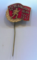 Yugoslavia Army In WW2 / Divisione Partisan Partizans Partigiano, Vintage Pin, Badge Abzeichen, Enamel - Militaria