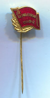 Yugoslavia Army In WW2 / Brigade Partisan Partizans Partigiano, Vintage Pin, Badge Abzeichen, Enamel - Militaria