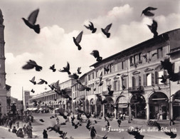 Faenza - Piazza Della Libertà - Formato Grande Viaggiata - E 13 - Faenza