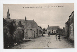 - CPA ROCHE-BLANCHE (44) - Arrivée Par La Route De Mésanger - Edition Chapeau N° 5 - - Altri Comuni