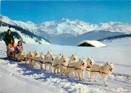 Col Des Saisies * Attelage De Chiens Samoyèdes * Luge Sport D'hiver - Sonstige & Ohne Zuordnung