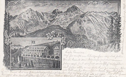 Suisse - Hôtel - Guggiberg - Hôtel Ottenleue - Circulée 23/07/1901 - Litho - Berg