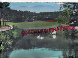 87- CHATEAUNEUF LA FORET - LE SANATORIUM DE BELLEGARDE LES FLEURS - CALME ET TRANQUILITE  CYGNES CYGNE ETANG - Chateauneuf La Foret