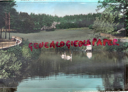 87- CHATEAUNEUF LA FORET - LE SANATORIUM DE BELLEGARDE LES FLEURS - CALME ET TRANQUILITE  CYGNES CYGNE ETANG - Chateauneuf La Foret