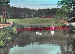 87- CHATEAUNEUF LA FORET - LE SANATORIUM DE BELLEGARDE LES FLEURS - CALME ET TRANQUILITE  CYGNES CYGNE ETANG - Chateauneuf La Foret