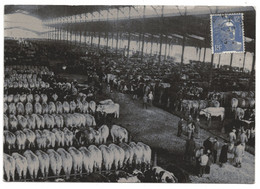 CPSM 75   PARIS VERS 1960      LA HALLE AUX BOEUFS DE LA VILLETTE  UN JOUR DE MARCHE - Piazze Di Mercato