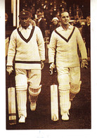 A01. Nostalgia Postcard. Cricket. Hobbs And Sutcliffe, Yorkshire, 1931 - Cricket
